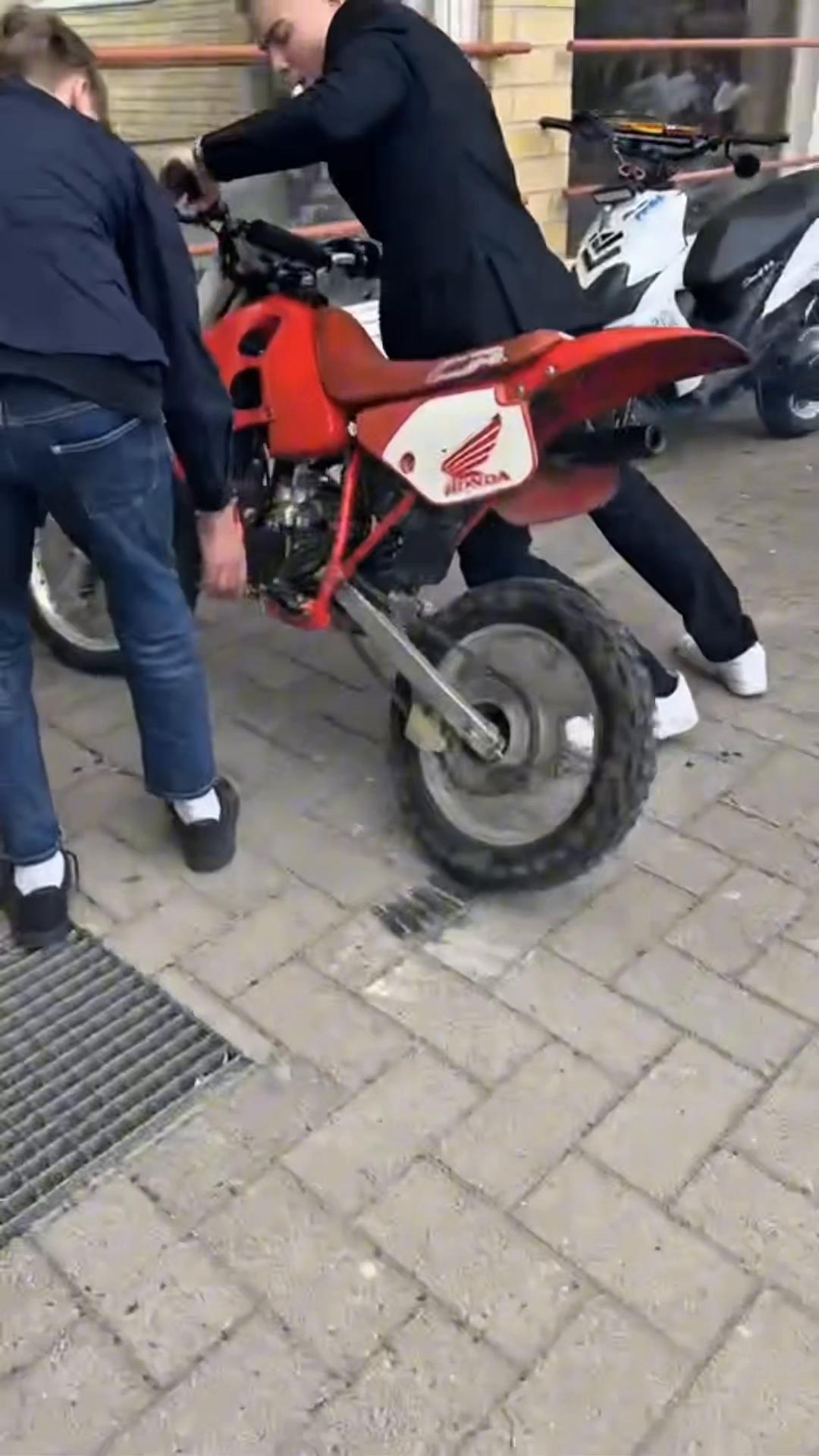 @lintul🅰️