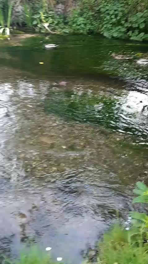 @aramrawf496