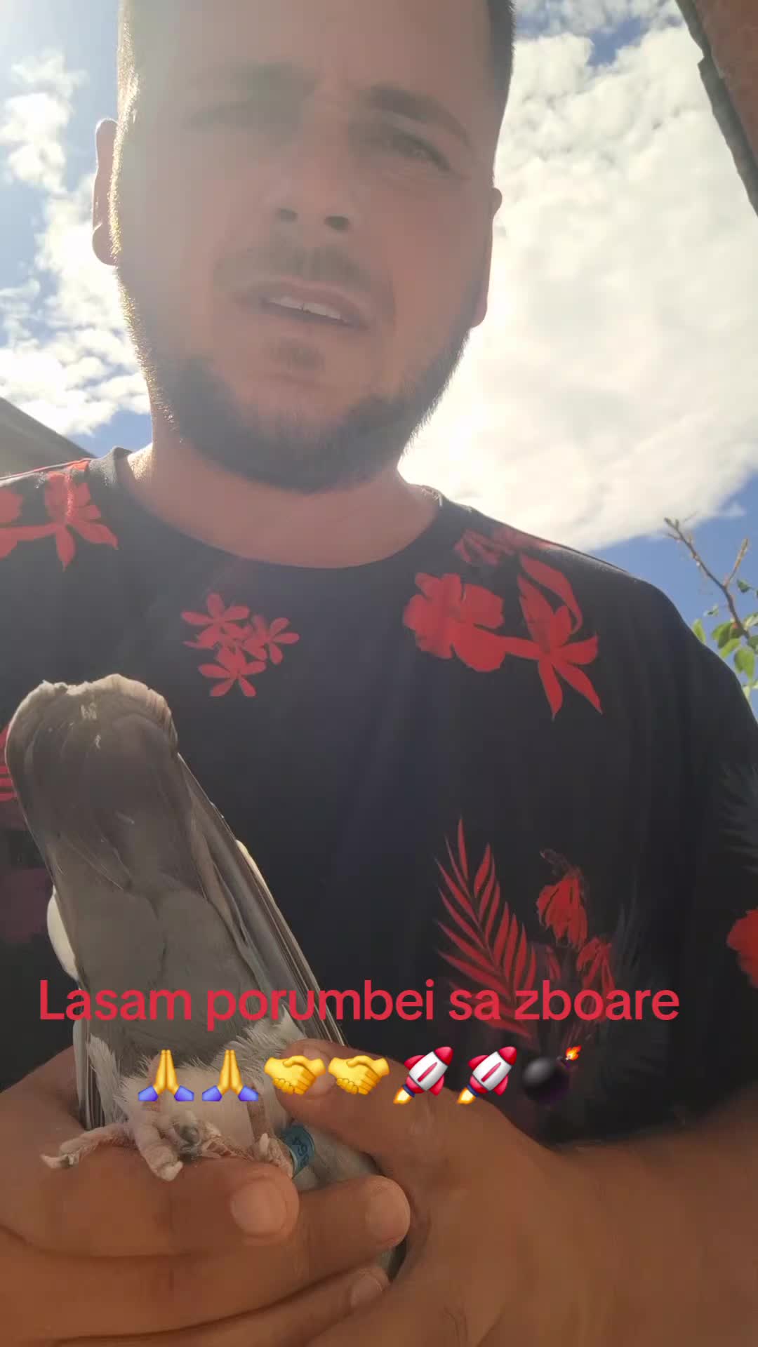 @Andrei Mira