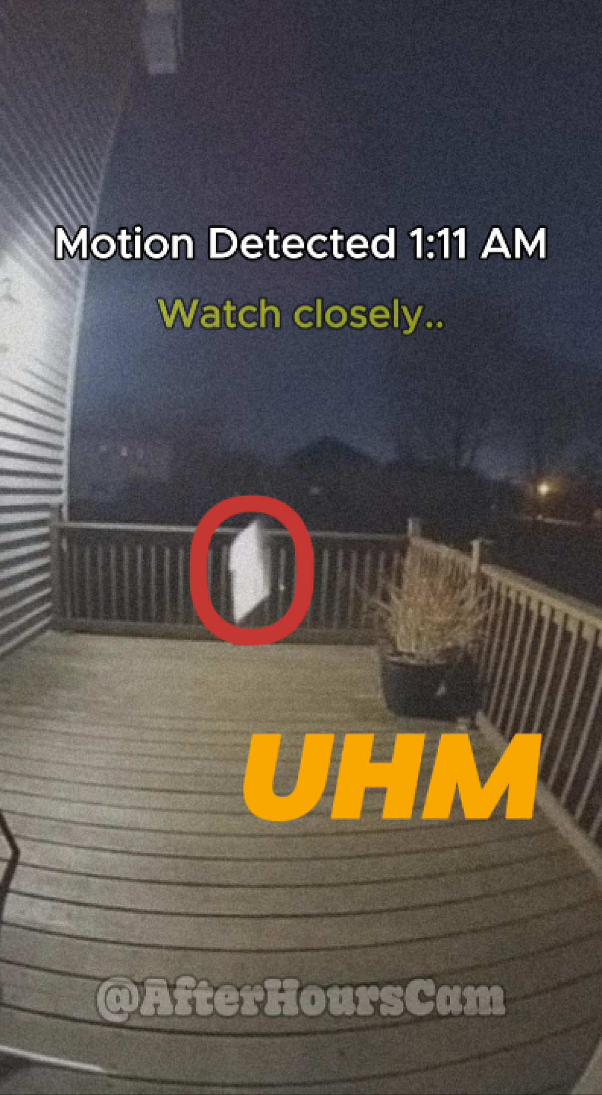 @afterhourscam
