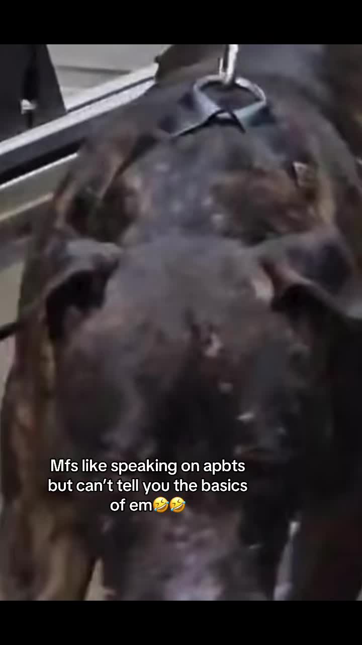 @🎭