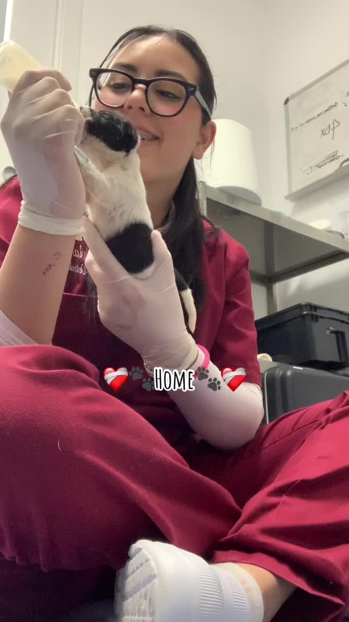 @Silvia🖤