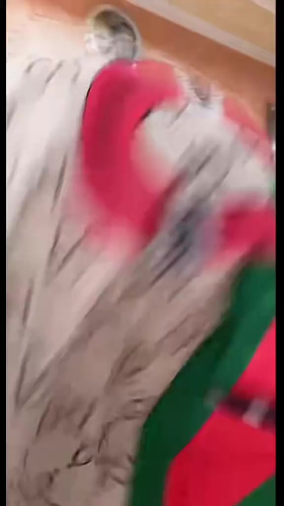 @enrico.p