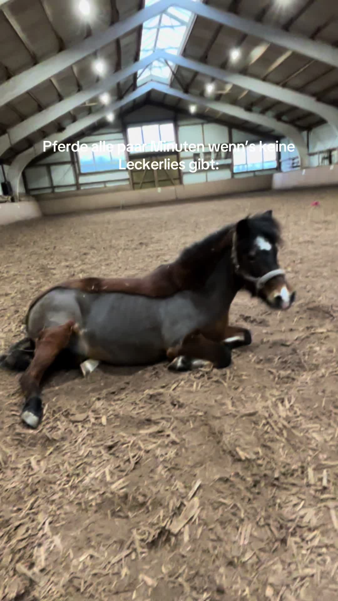 @Kinderreitenfulda