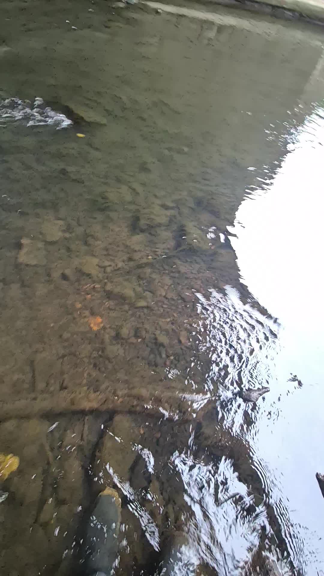 @RB.fishing