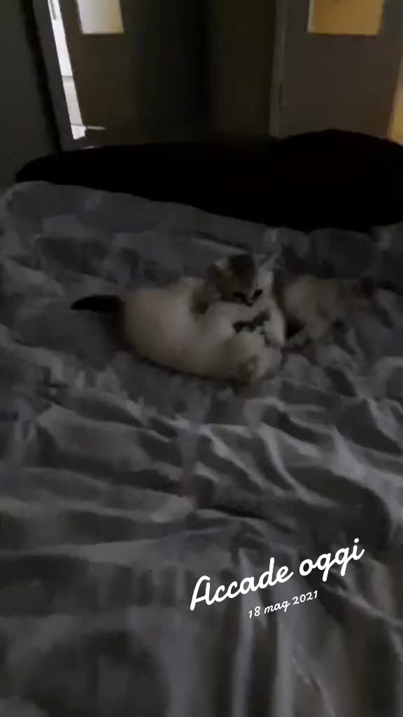 @lillylily70