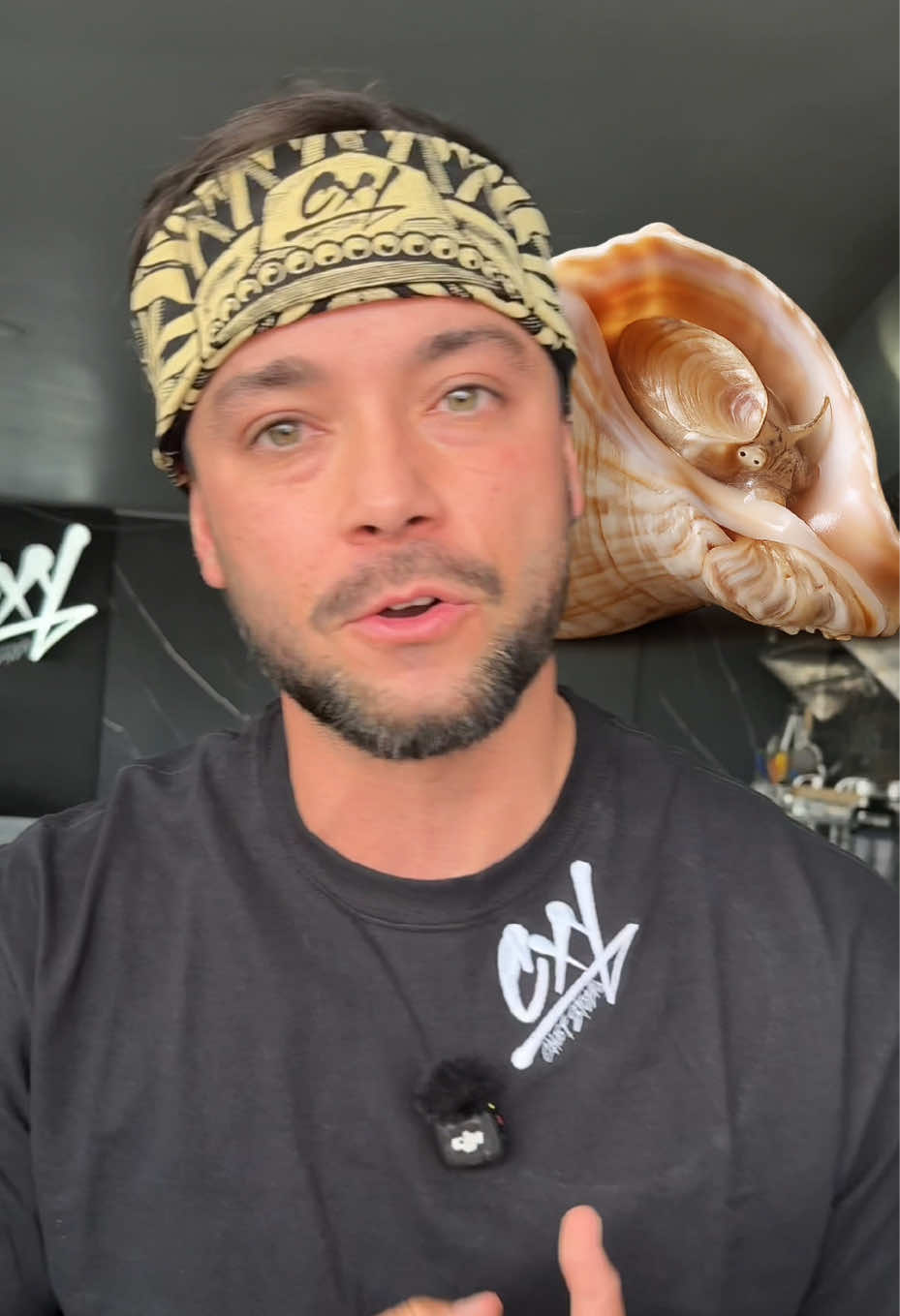@Chefschwarz