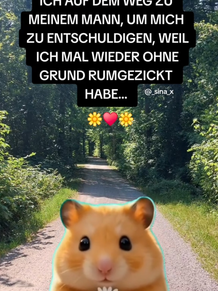 @𝙭𝙎𝙞𝙣𝙖🎮