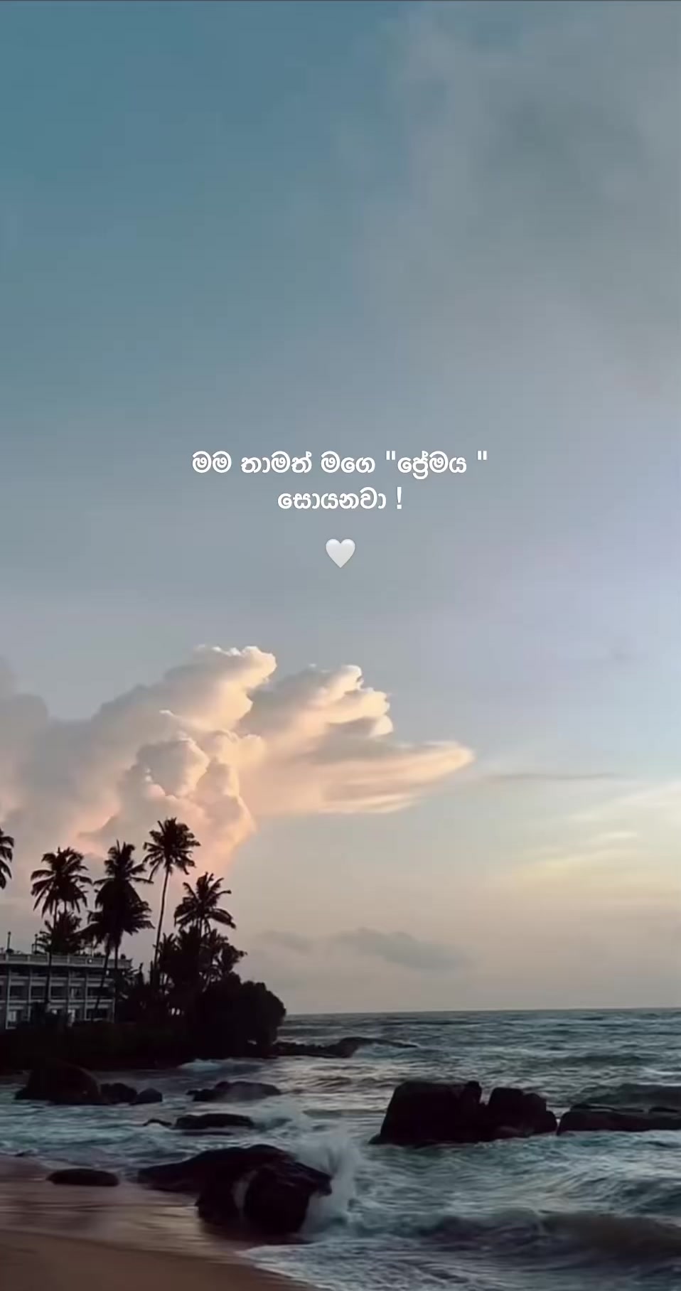 @вloѕѕoм 🤍
