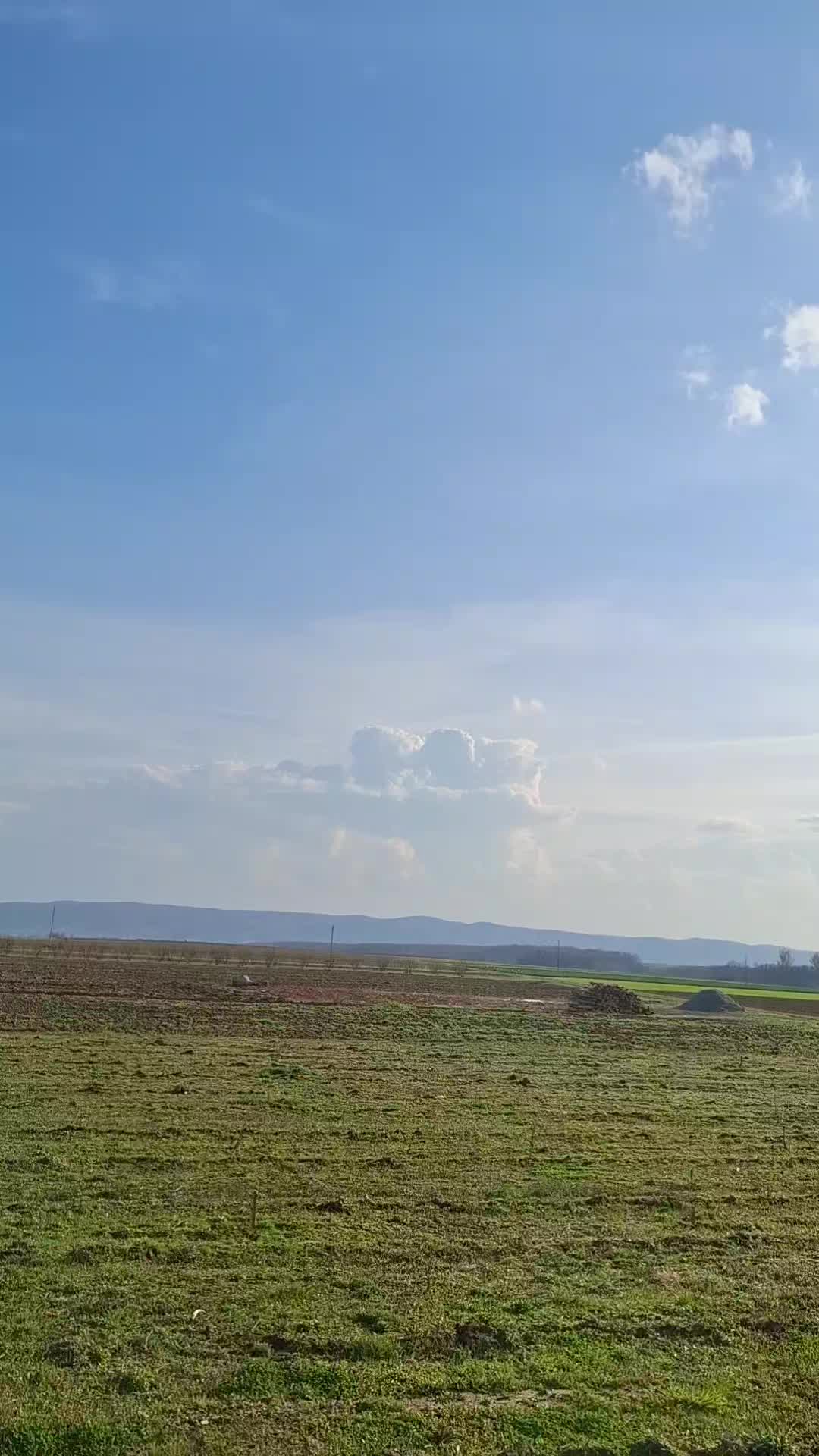 @558