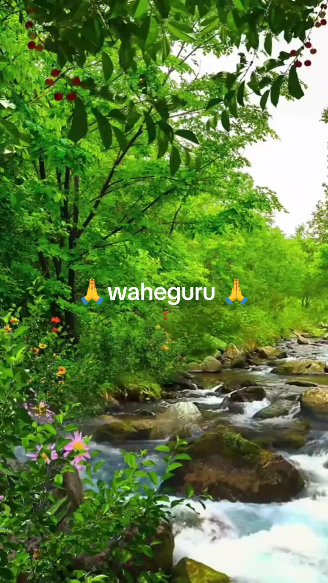 @🙏waheguru ji🙏