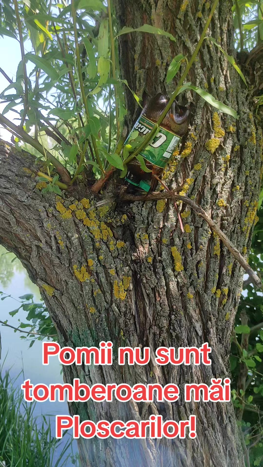 @Văru Nik