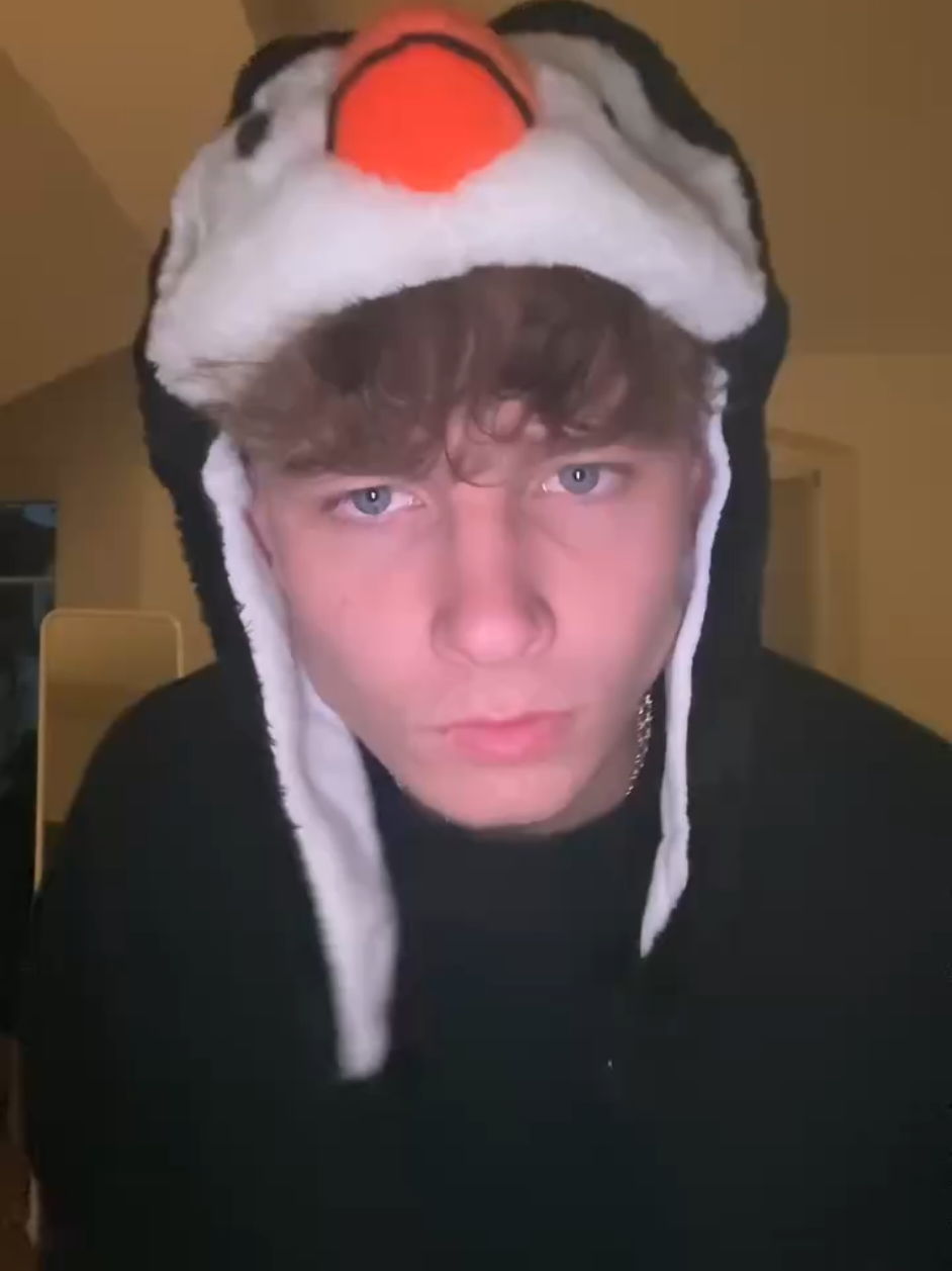 @petliya