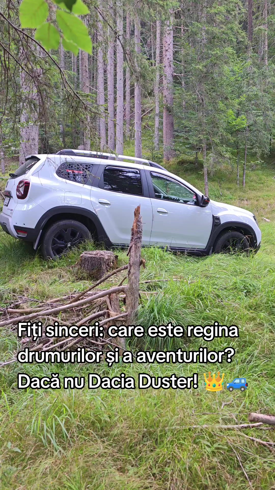 @ionuthabuc_duster_fan
