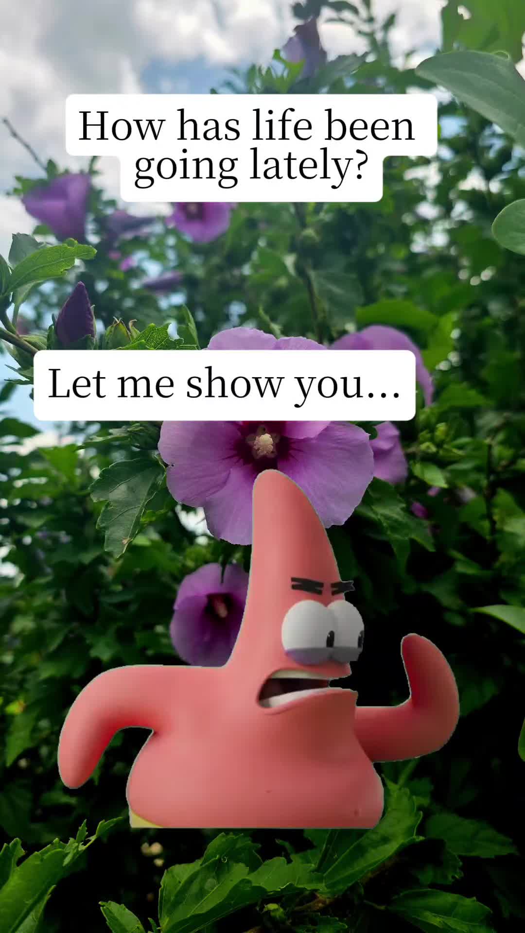 @Melinda Lawson
