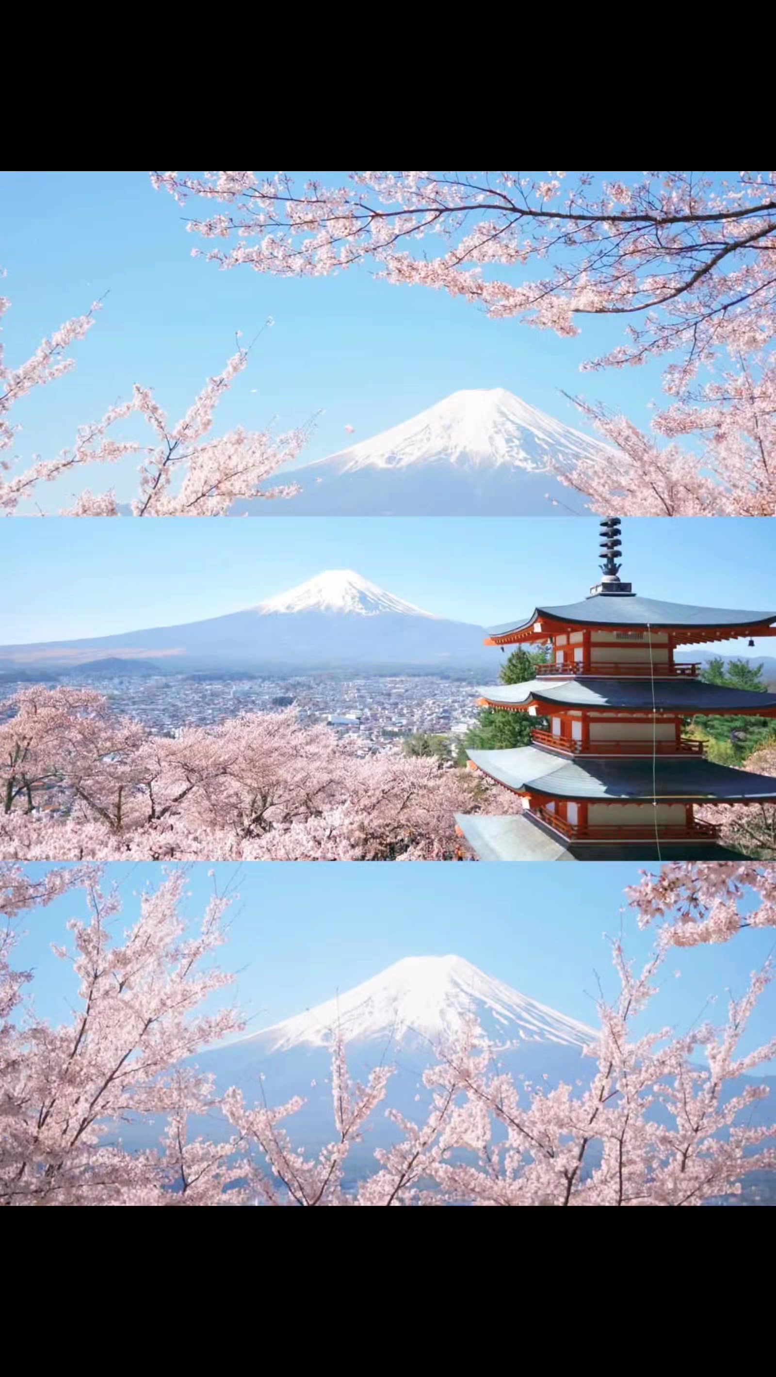@Pink Travel and Tours