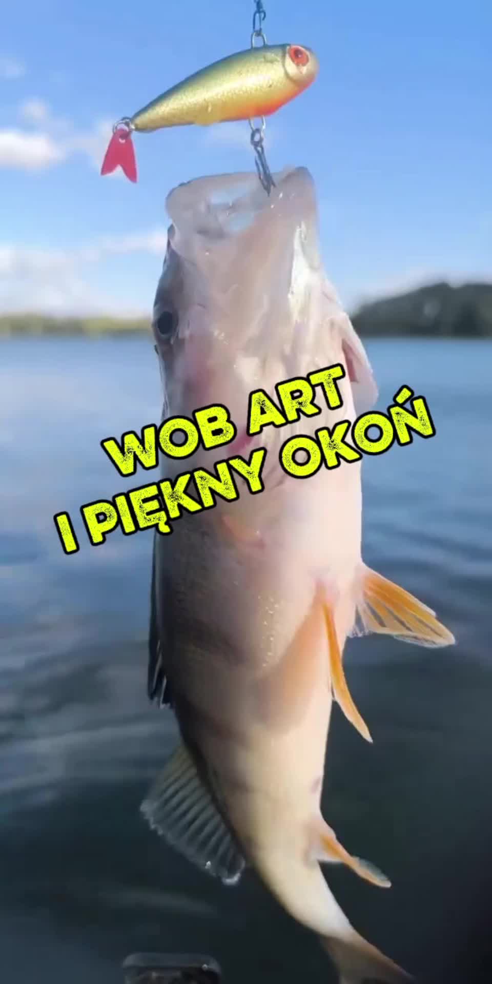 @Niezatapialnifishingteam