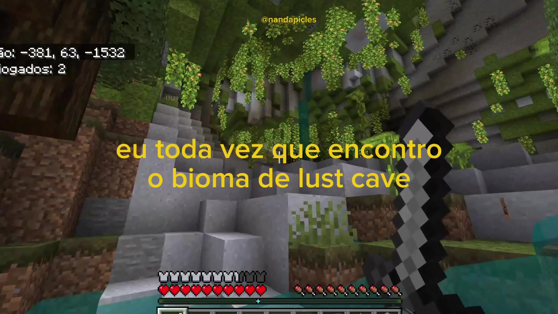 @pickles em conserva