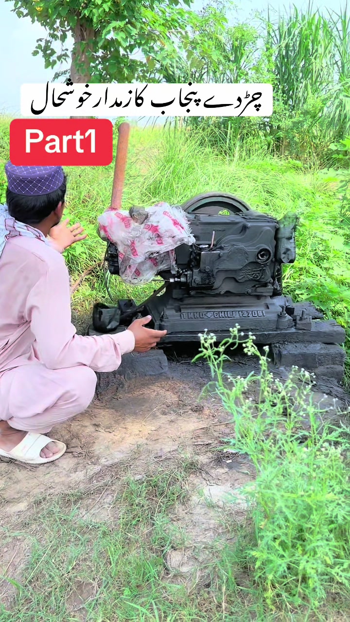 @پینڈو بوائز 378