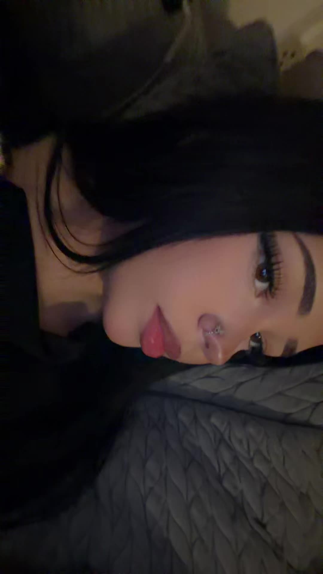 @🦈