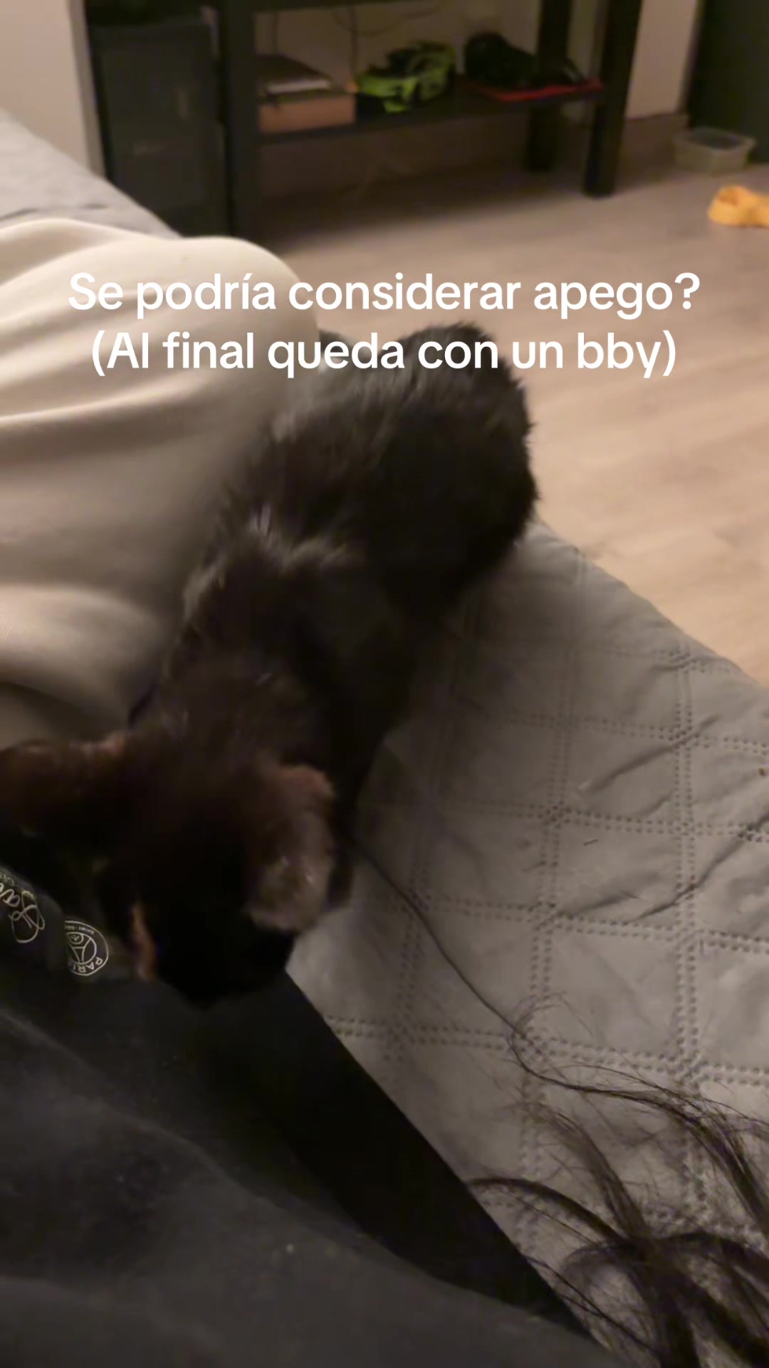 @lucisosva