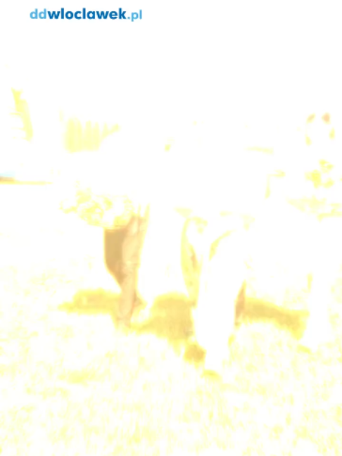 @ddwloclawek