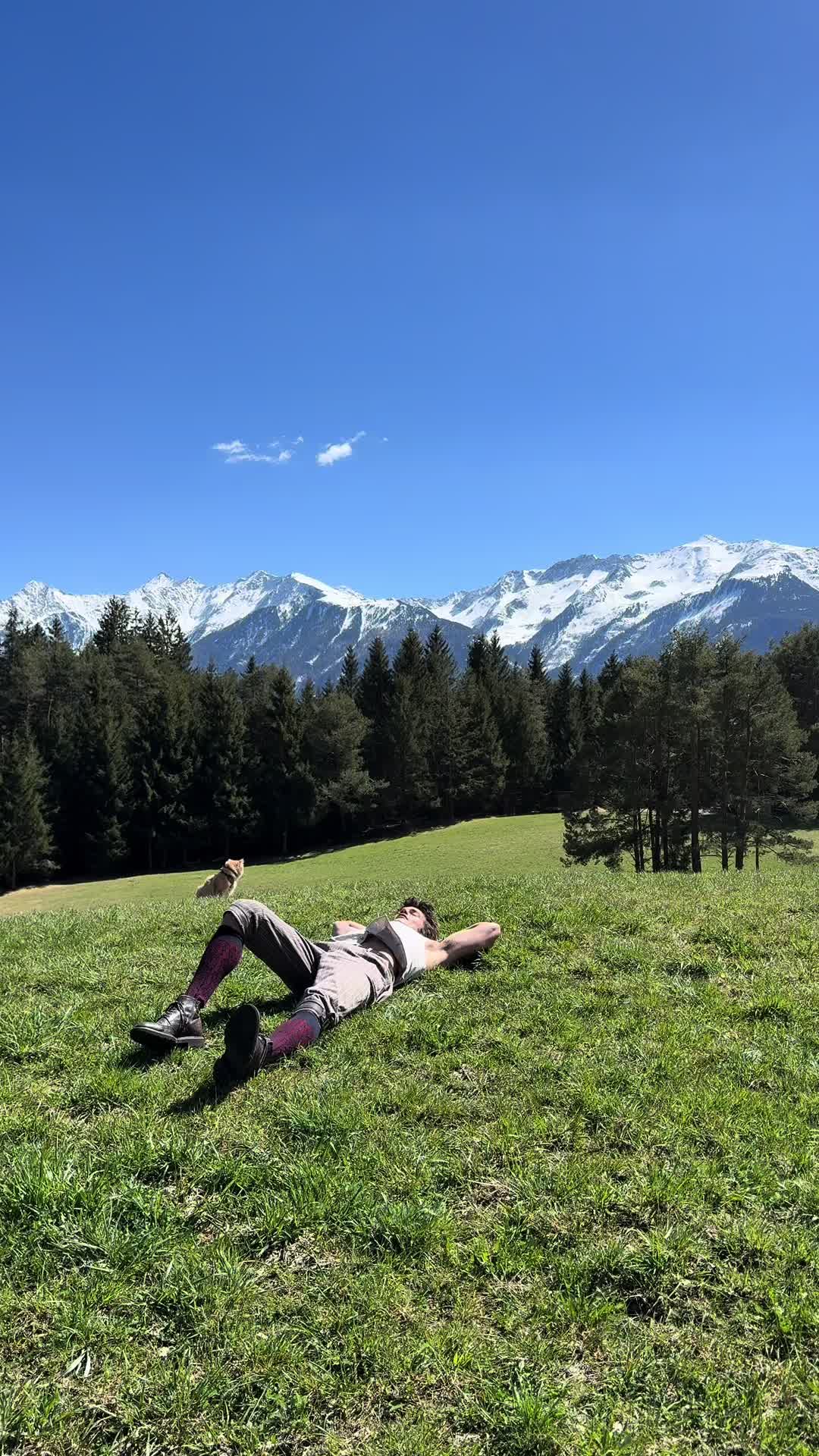 @peter_mai_