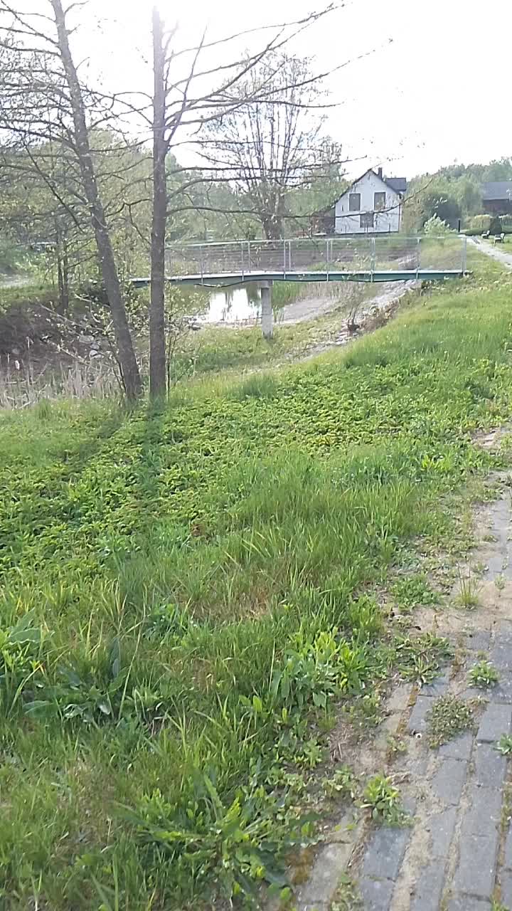 @пілігримІван Рябущиць