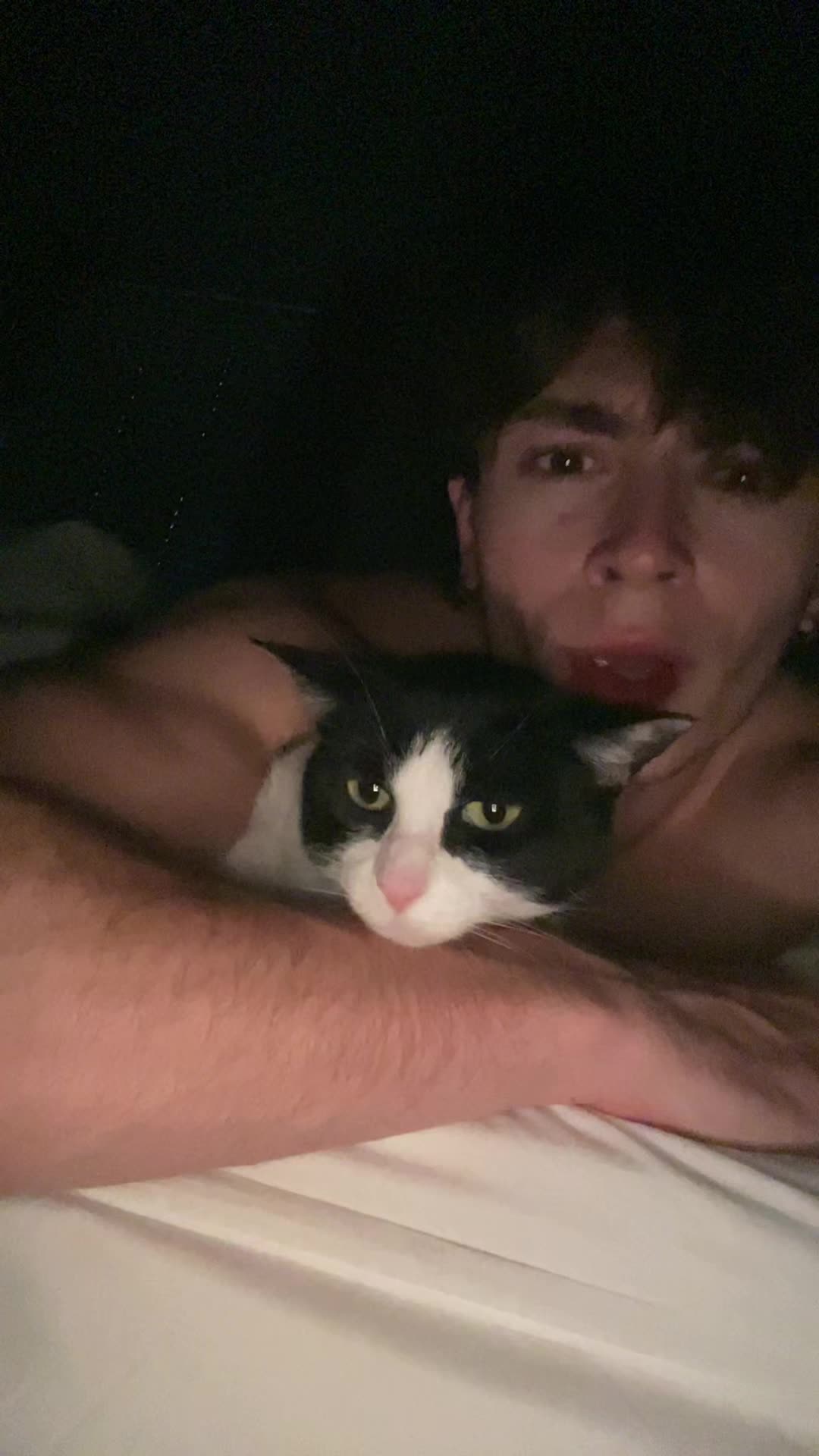 @npc__matthew
