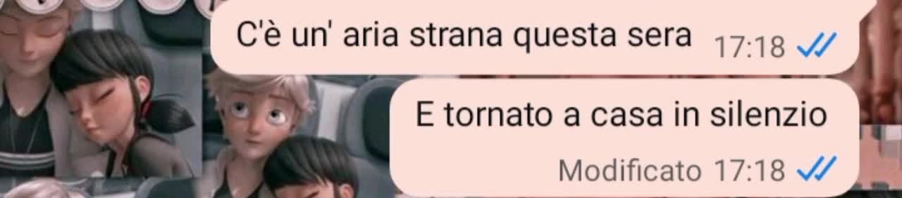 @isabellacatasta04