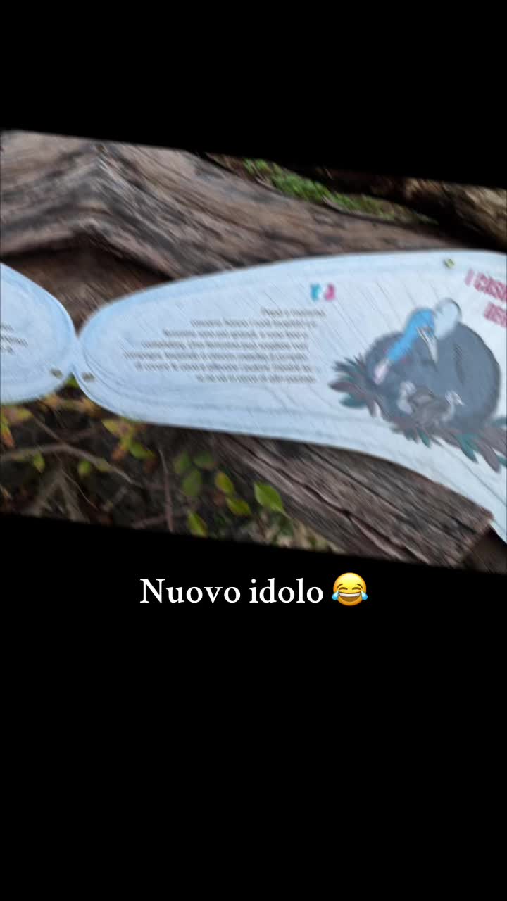 @Vane 🌺