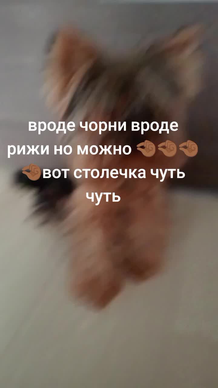 @ТЕПО ДИМОН😈👿