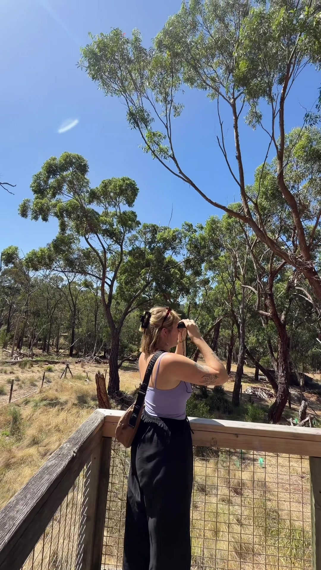 @Eleanor 𖦹 travel in australia