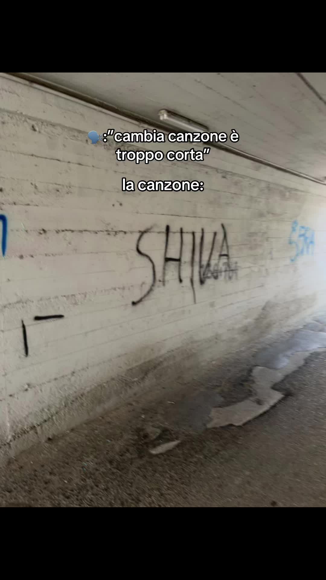 @lucacxz7
