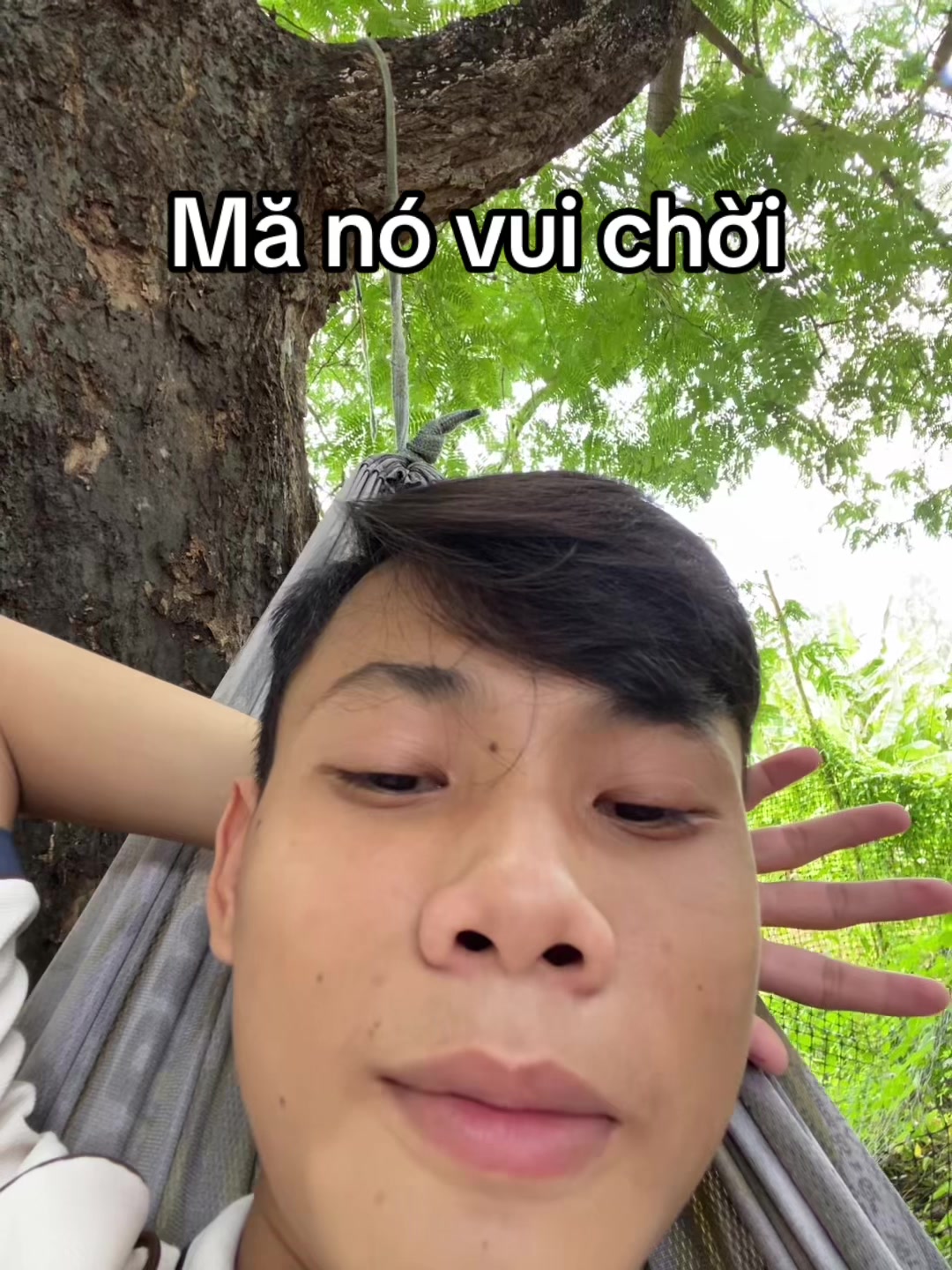 @banddz7