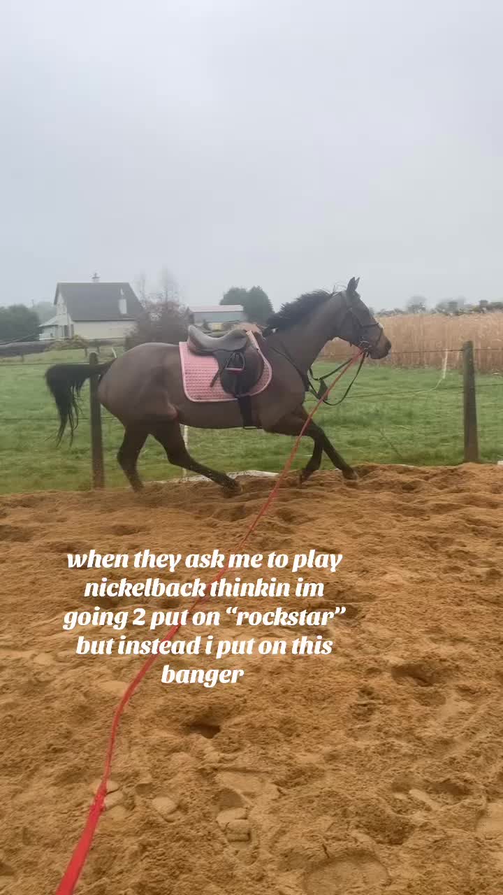 @🫡