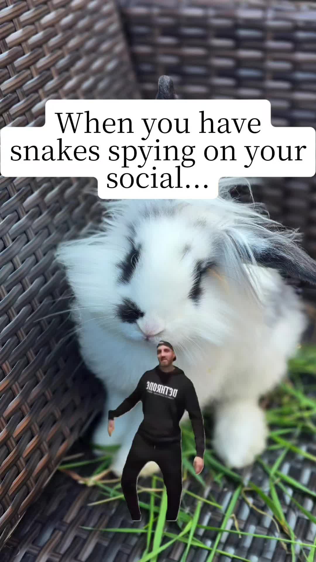 @SCTH🥚