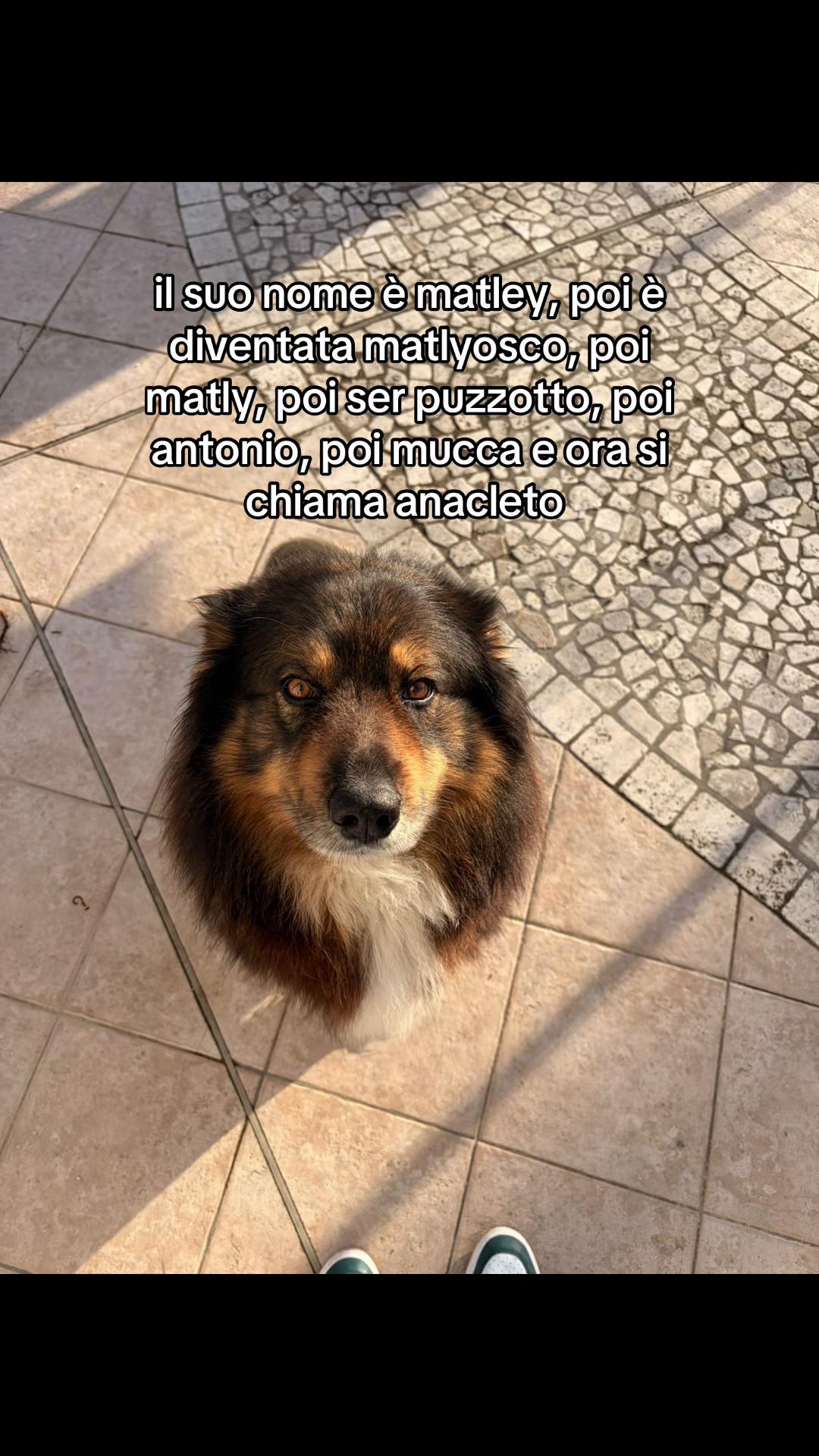 @Giuggiola