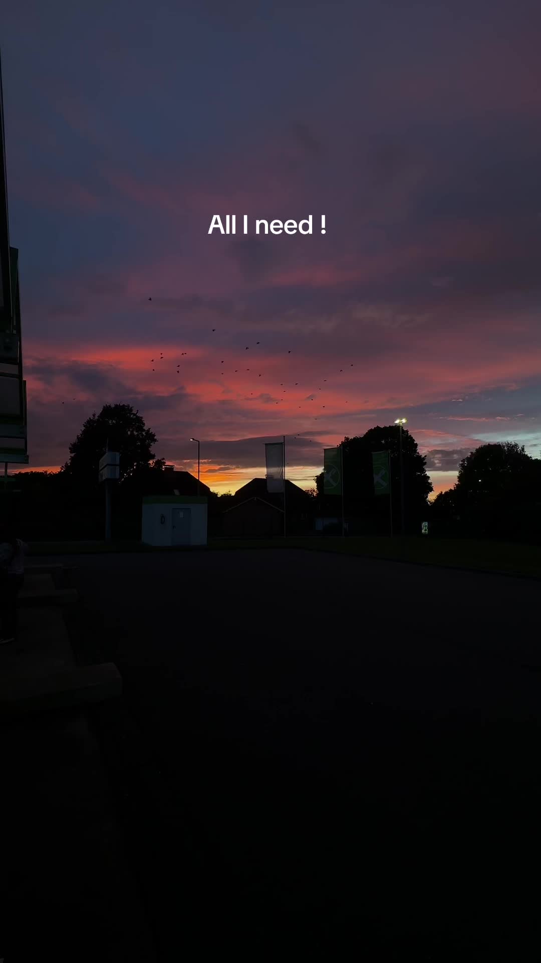 @gina.schnittke