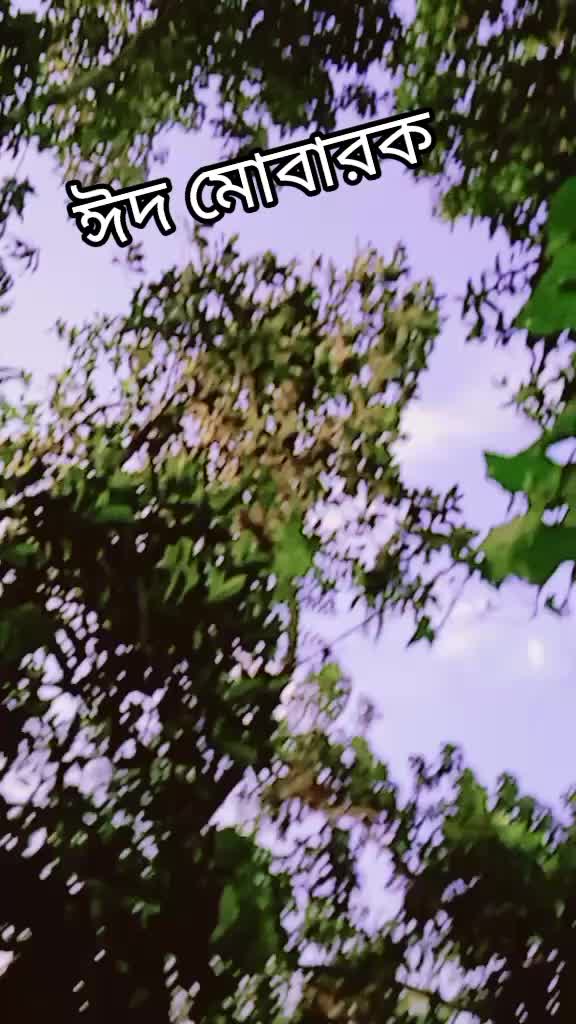 @🦋🌺প্রজাপতি🌺🦋