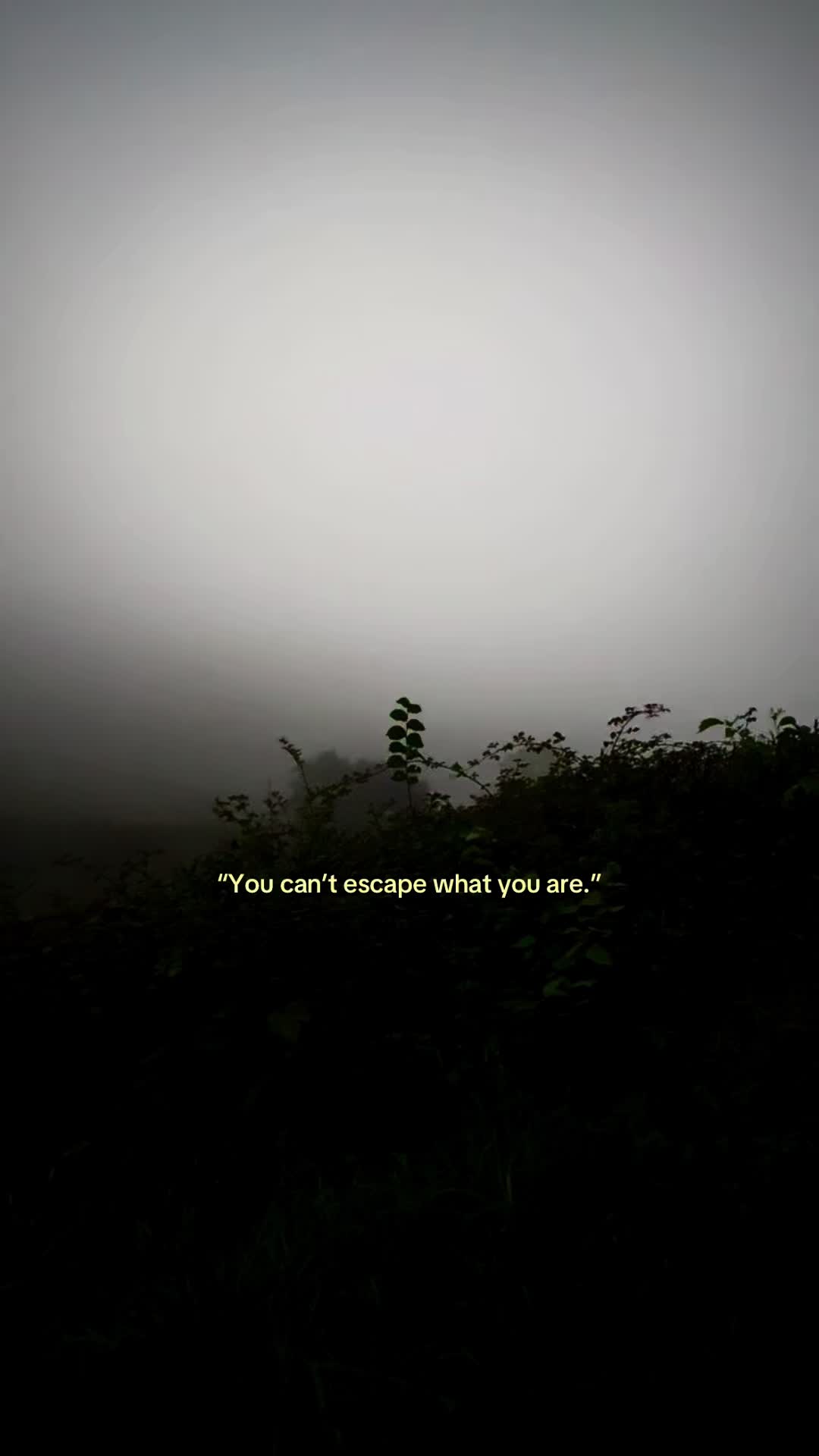 @Garbagedisposal
