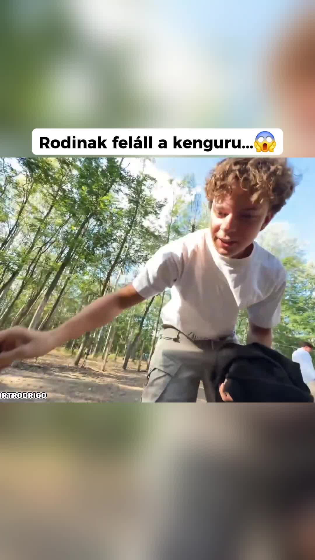 @77patrik