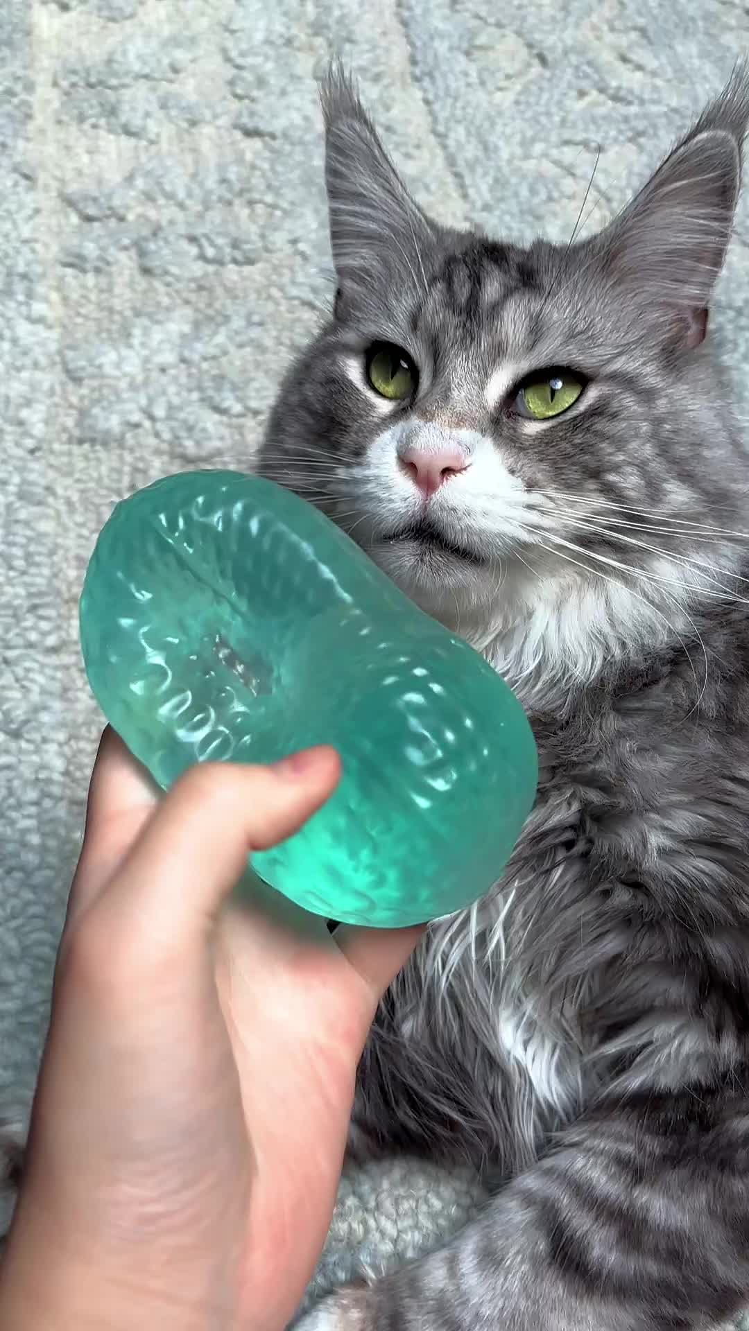@moonkattsquishy