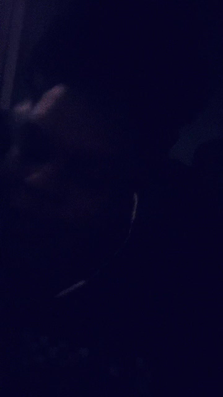 @Tierraprather379 🩶🖤