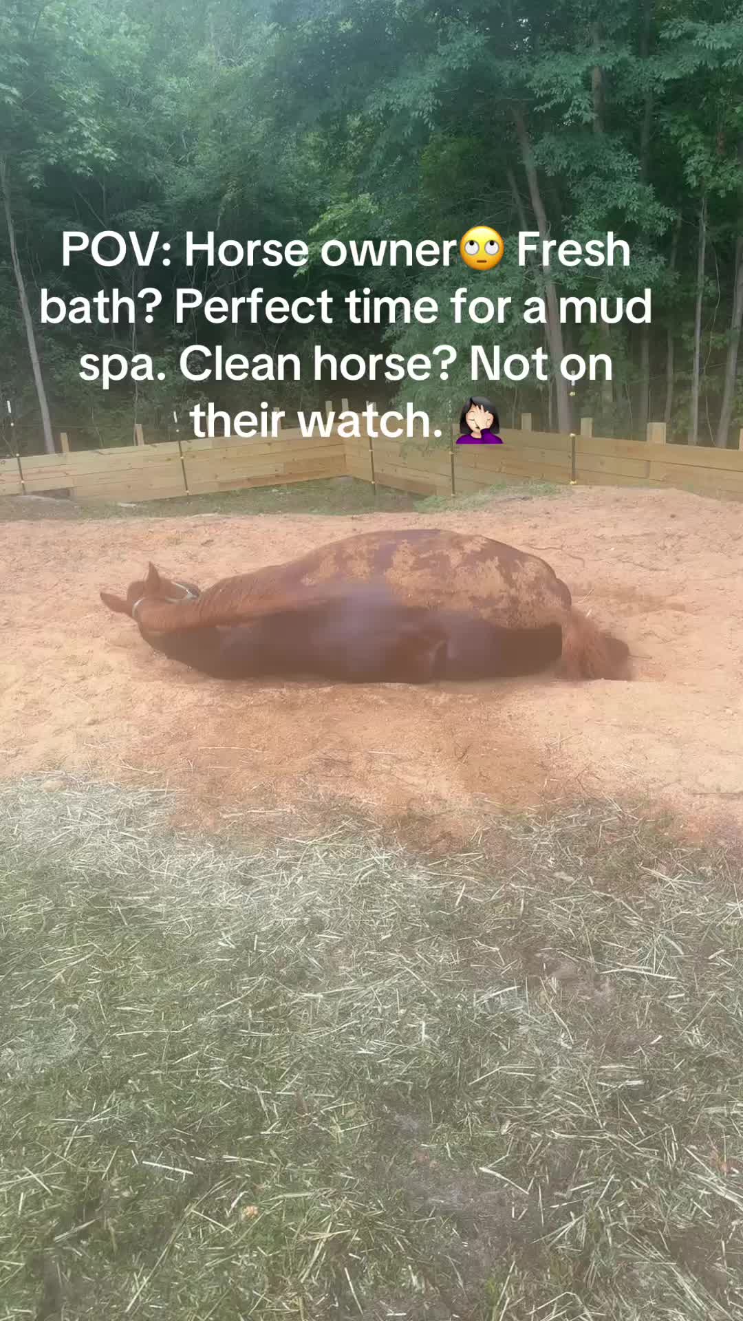@holly_wood2427