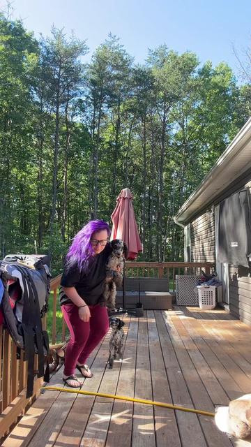 @hairstylingdoglady