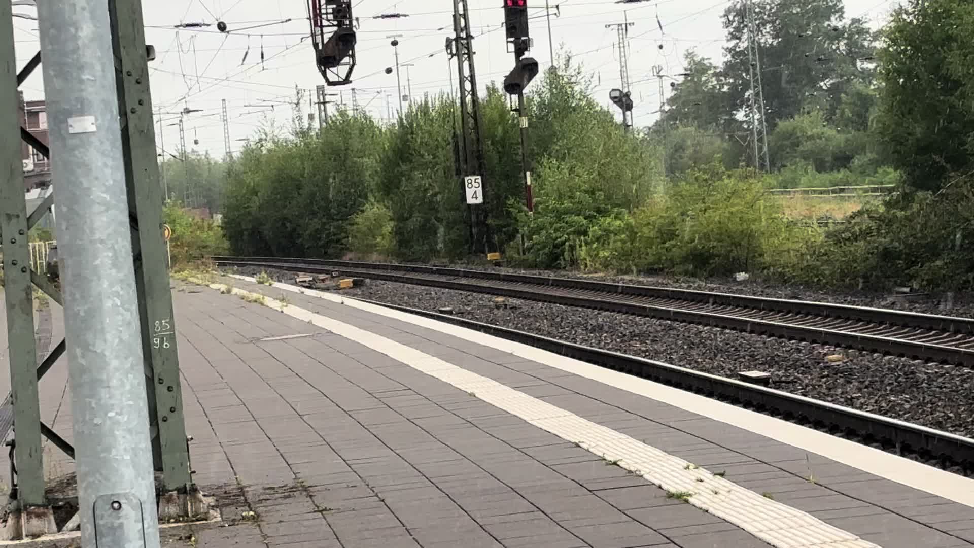 @Trainspotter_BVB