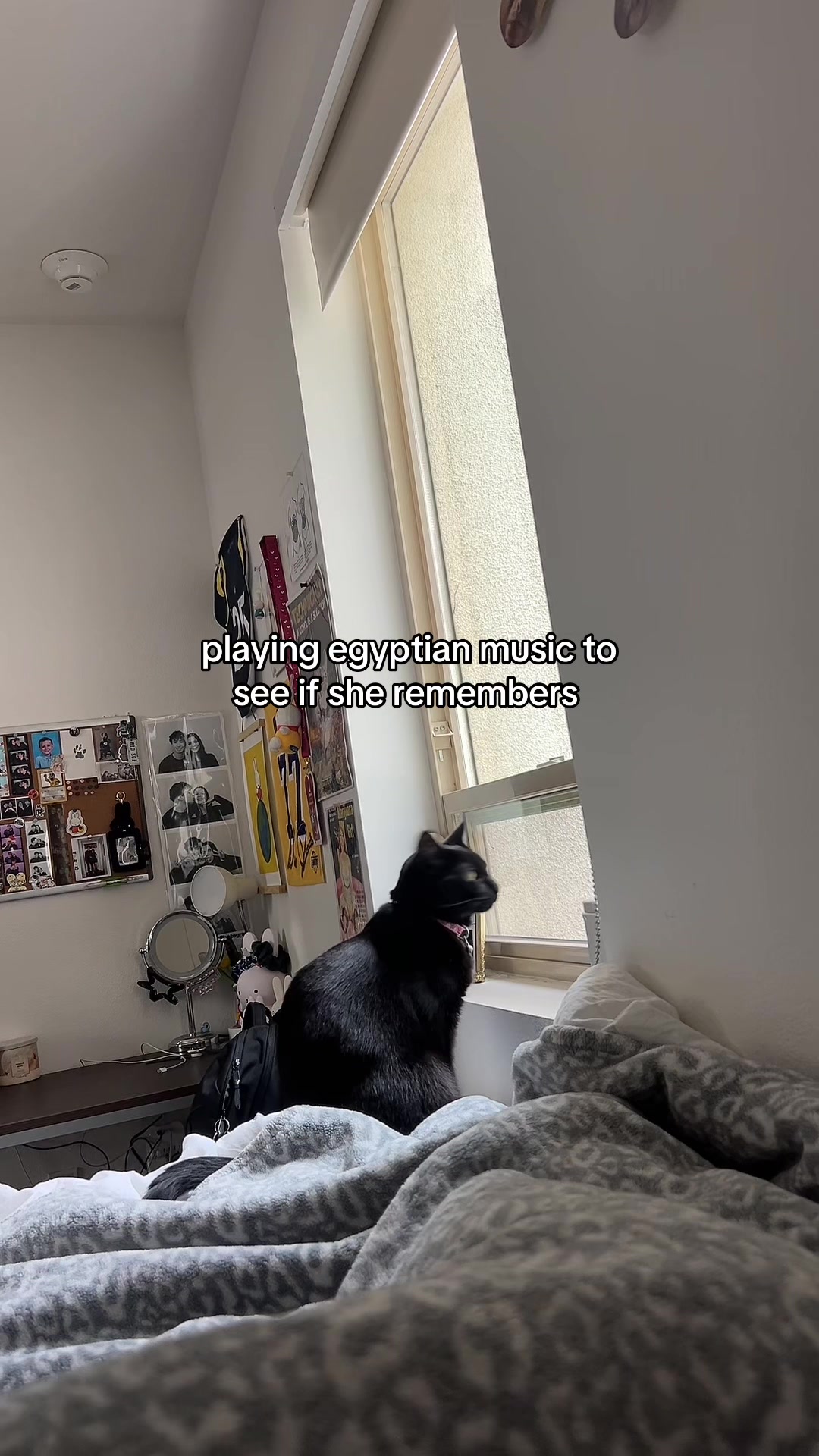 @lili
