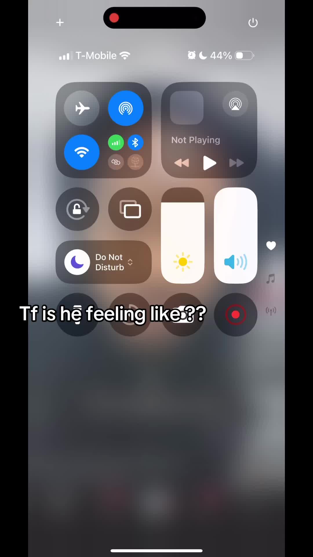 @Toriiii