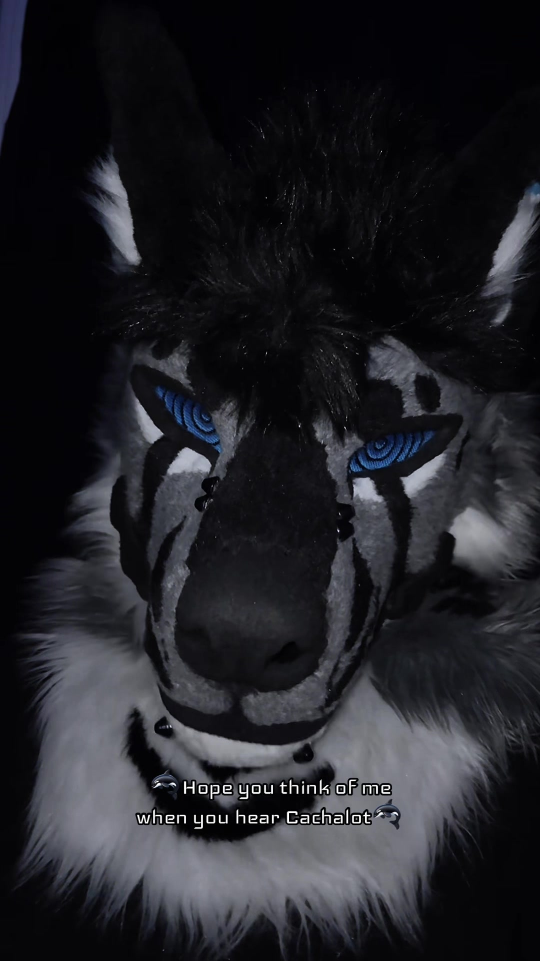 @sonar_hyena_shark